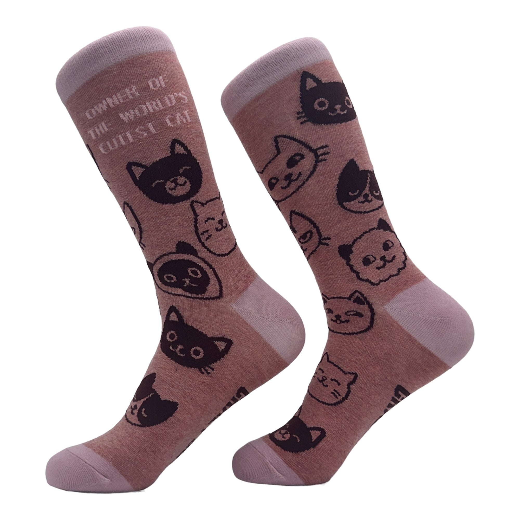 Funny Multi - Cutest Cat Women's Owner Of The Worlds Cutest Cat Sock Nerdy Cat Tee