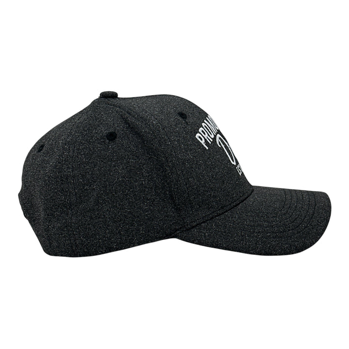 A thumbnail image of the design.