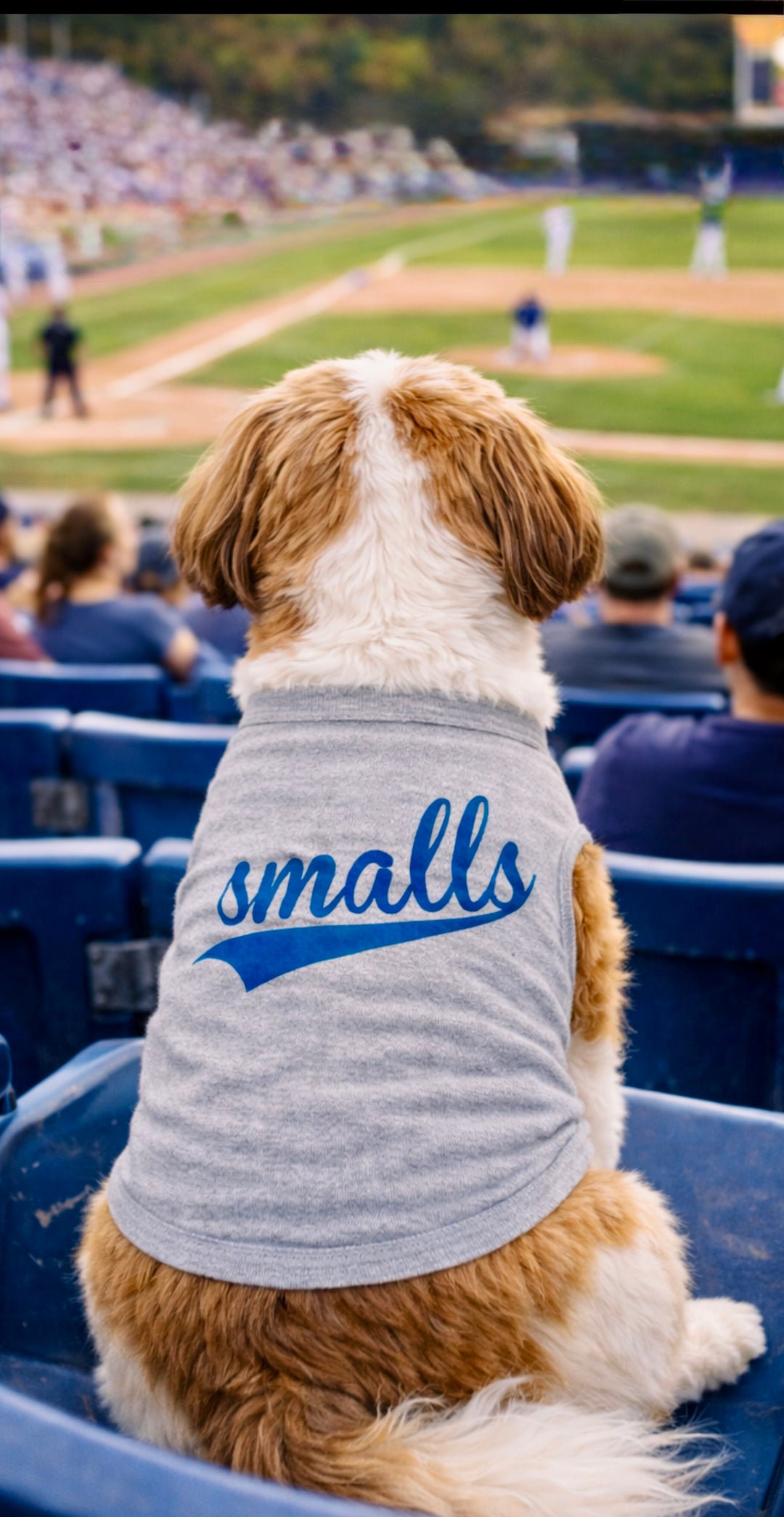 A thumbnail image of the design.