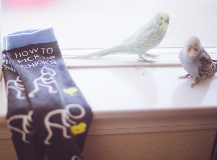 Men's How To Pick Up Chicks Socks