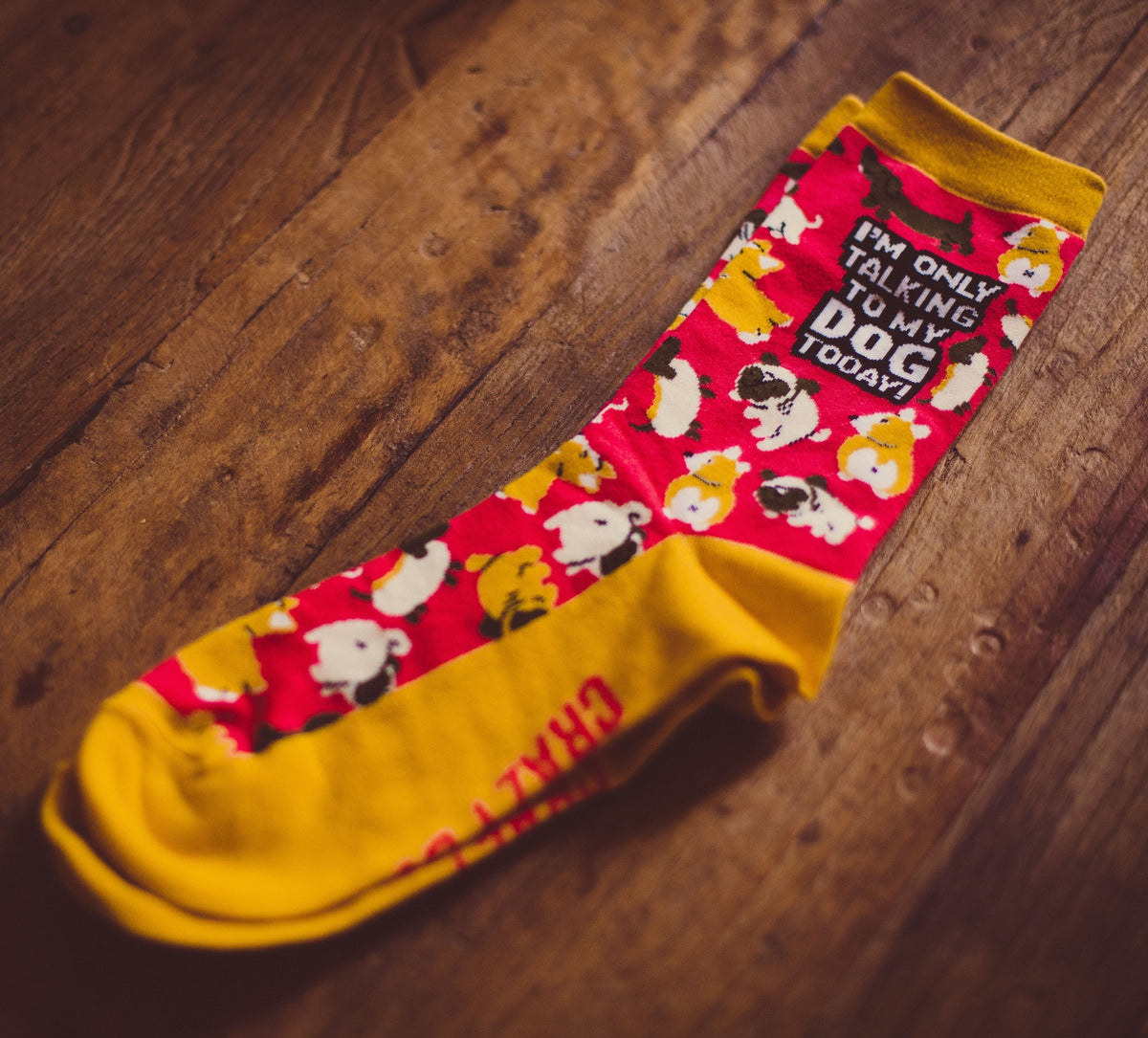 Womens I&#39;m Only Talking To My Dog Today Socks