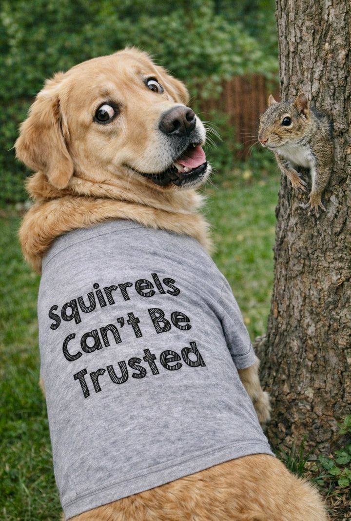 A thumbnail image of the design.