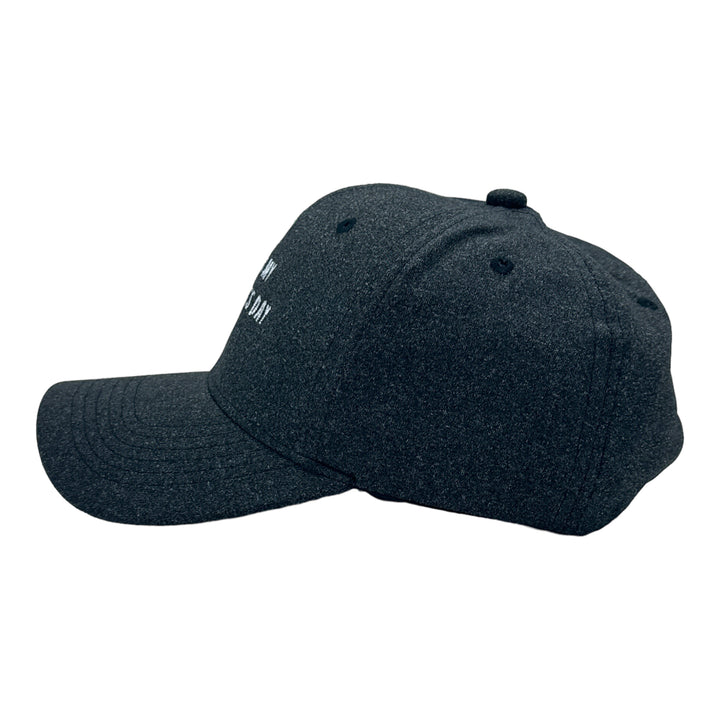 This is My St Patricks Day Hat