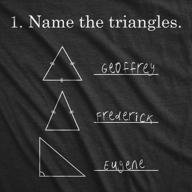 Name The Triangles Men's T Shirt