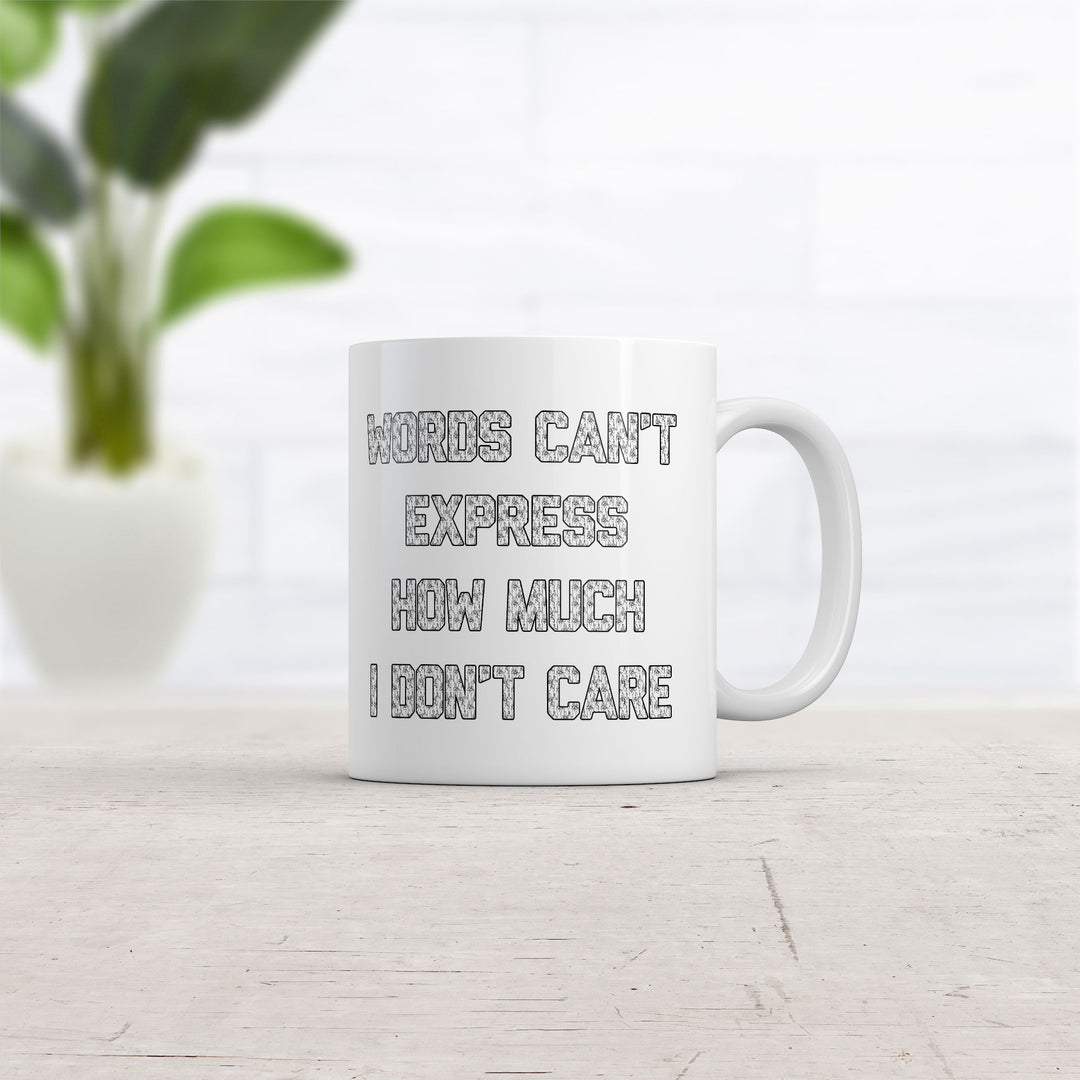 Words Cant Express How Much I Dont Care Mug
