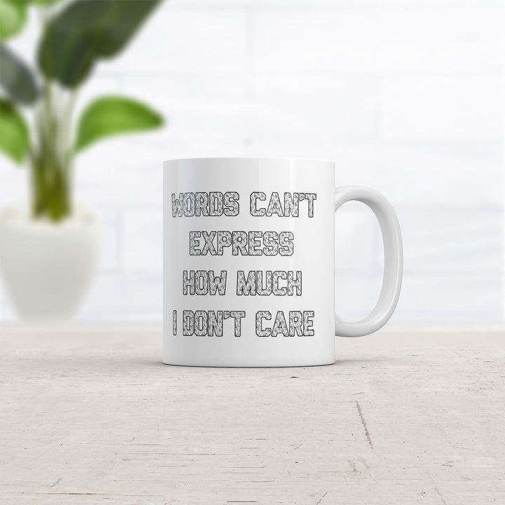 Words Cant Express How Much I Dont Care Mug