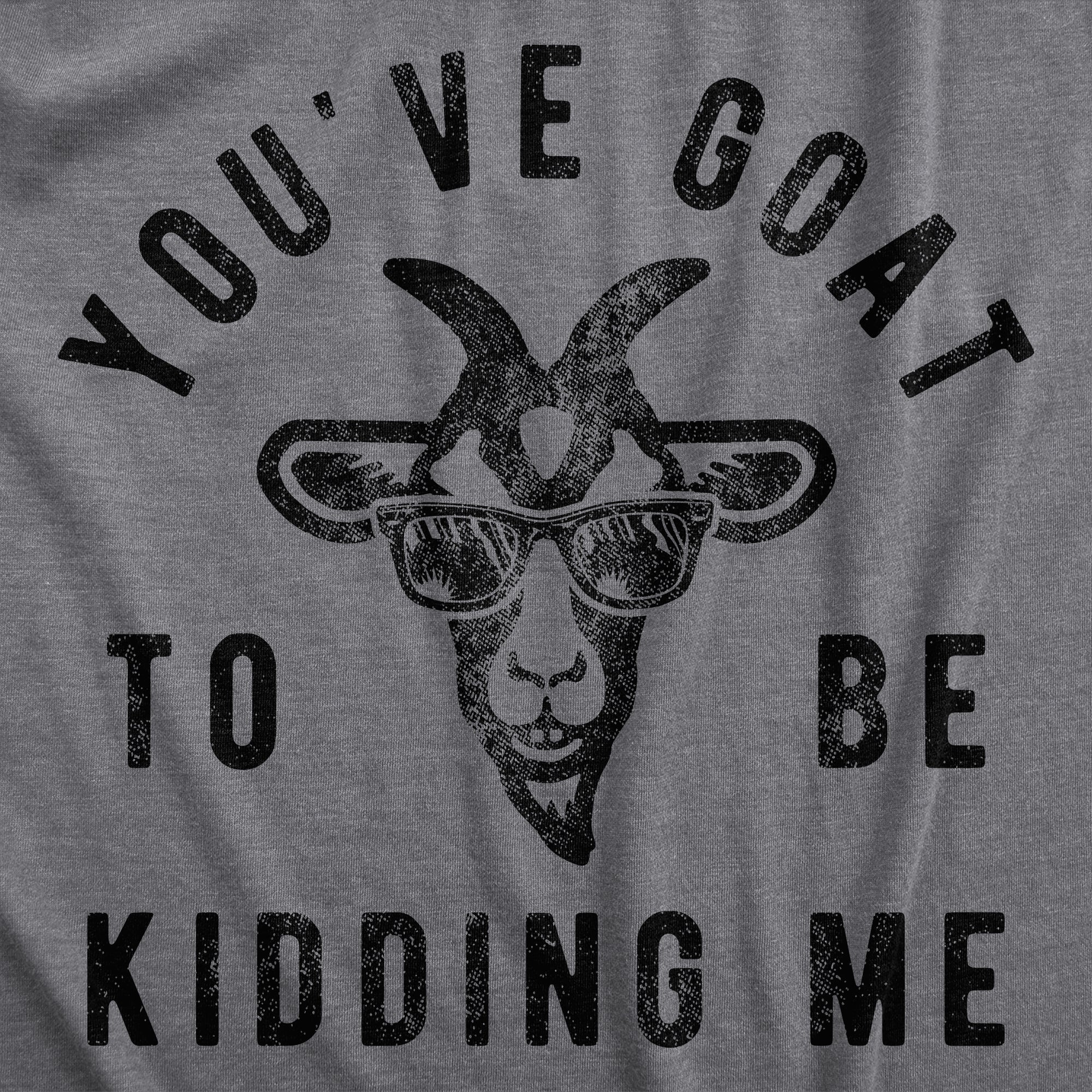 Funny Dark Heather Grey Youve Goat To Be Kidding Me Womens T Shirt Nerdy animal Tee