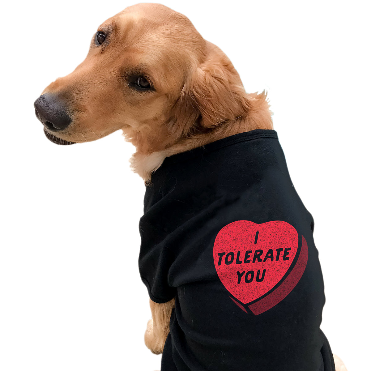 I Tolerate You Dog Shirt