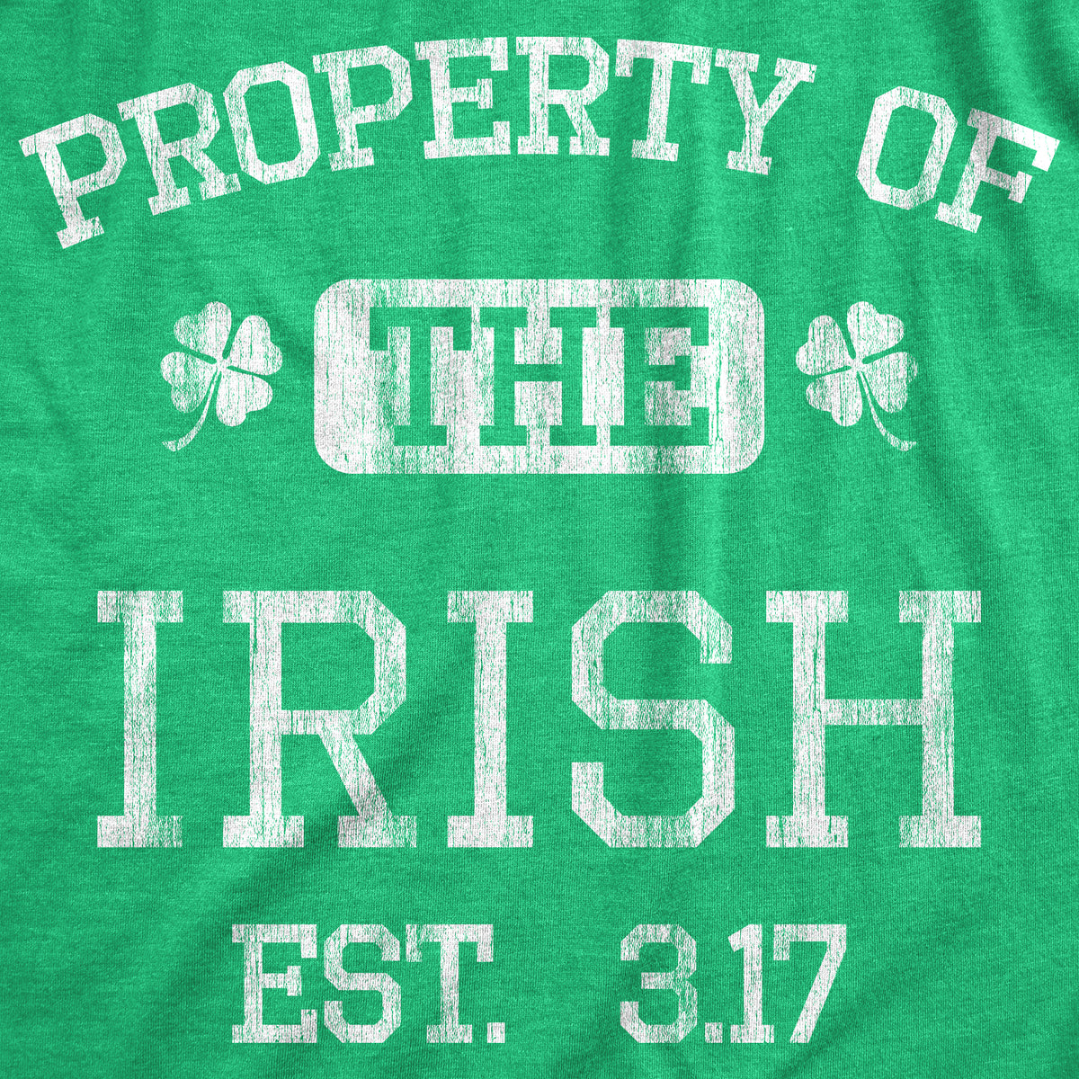 Property Of The Irish Women&#39;s Tshirt