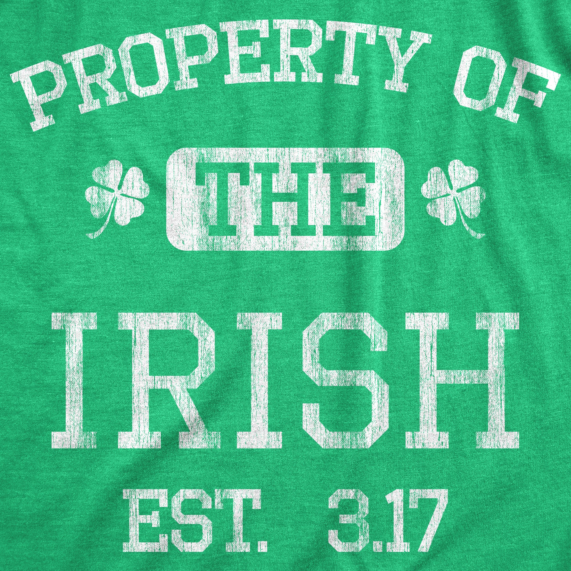 Funny Heather Green Property Of The Irish Womens T Shirt Nerdy Saint Patrick's Day Retro Tee