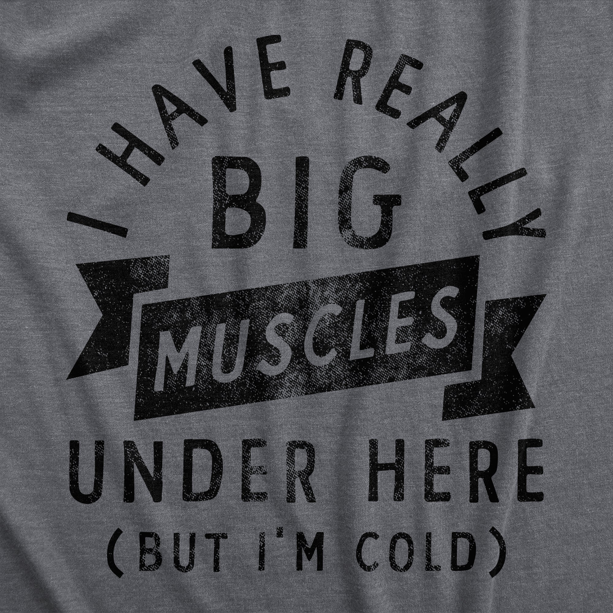 Funny Dark Heather Grey I Have Really Big Muscles Under Here But Im Cold Hoodie Nerdy Fitness Tee