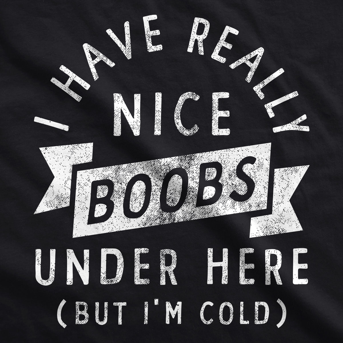 I Have Really Nice Boobs Under Here But Im Cold Hoodie