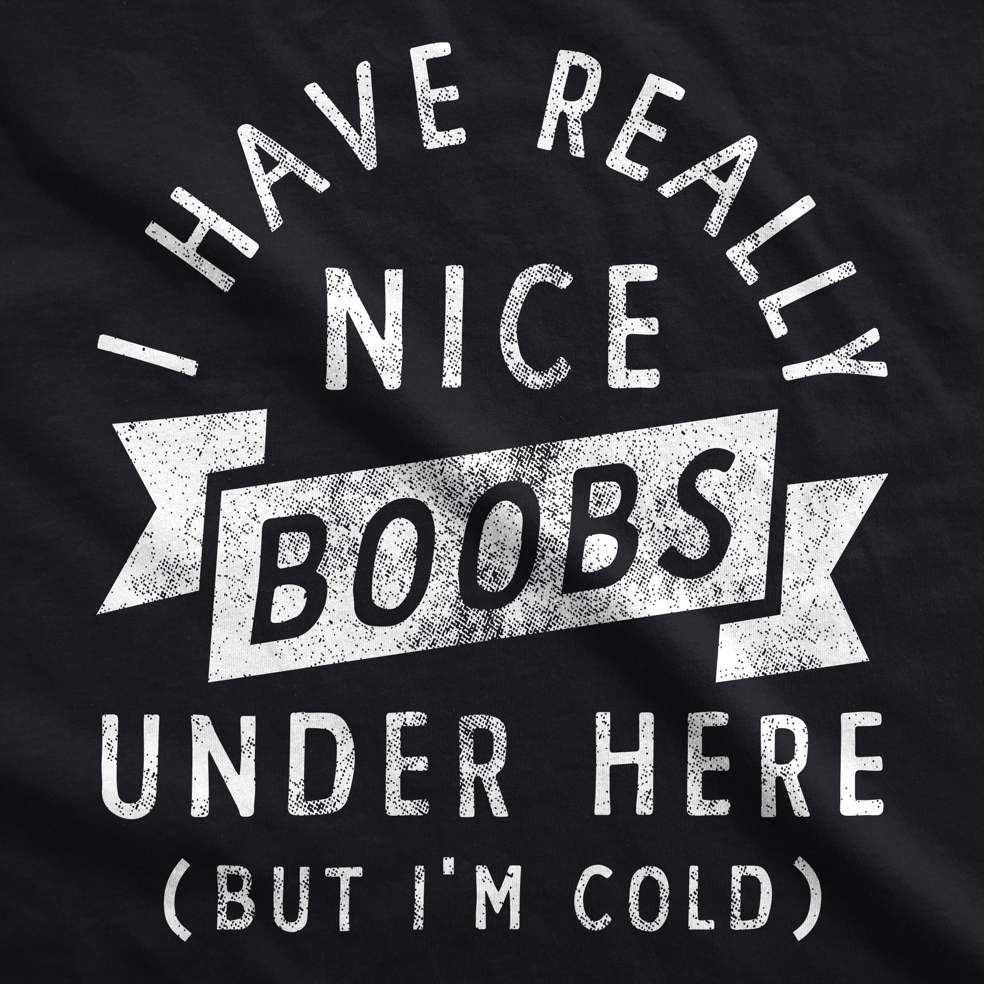 Funny Black I Have Really Nice Boobs Under Here But Im Cold Hoodie Nerdy sex Tee