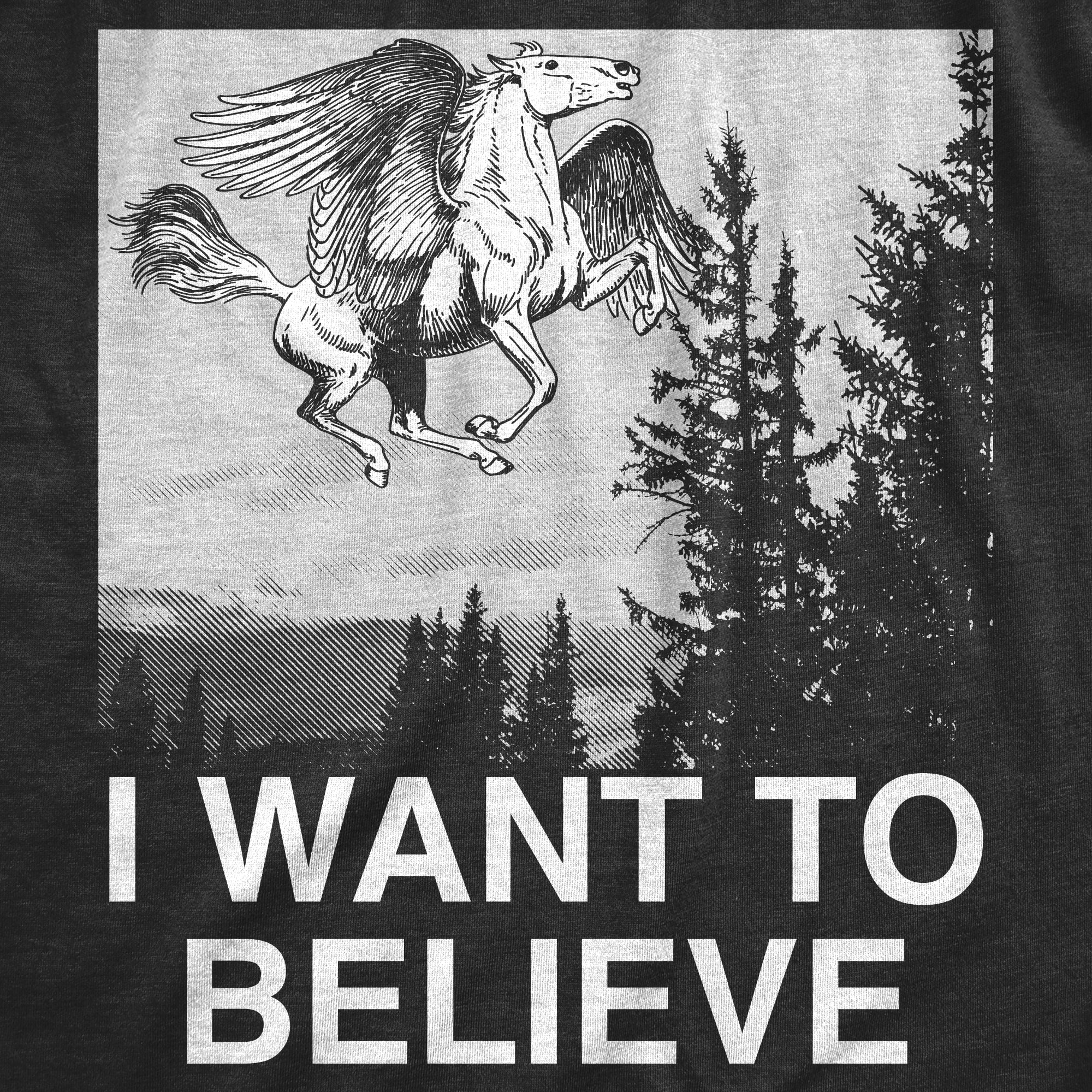 Funny Heather Black - BELIEVE I Want To Believe Pegasus Mens T Shirt Nerdy Sarcastic Animal Tee