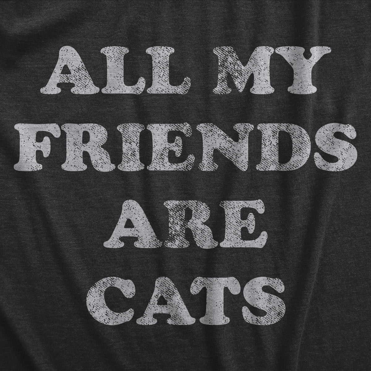 All My Friends Are Cats Men&#39;s T Shirt