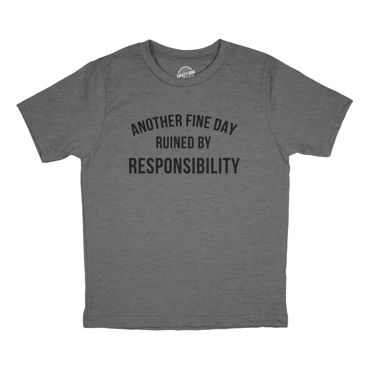 Funny Dark Heather Grey - RESPONSIBILITY Another Fine Day Ruined By Responsibility Youth T Shirt Nerdy Sarcastic Tee