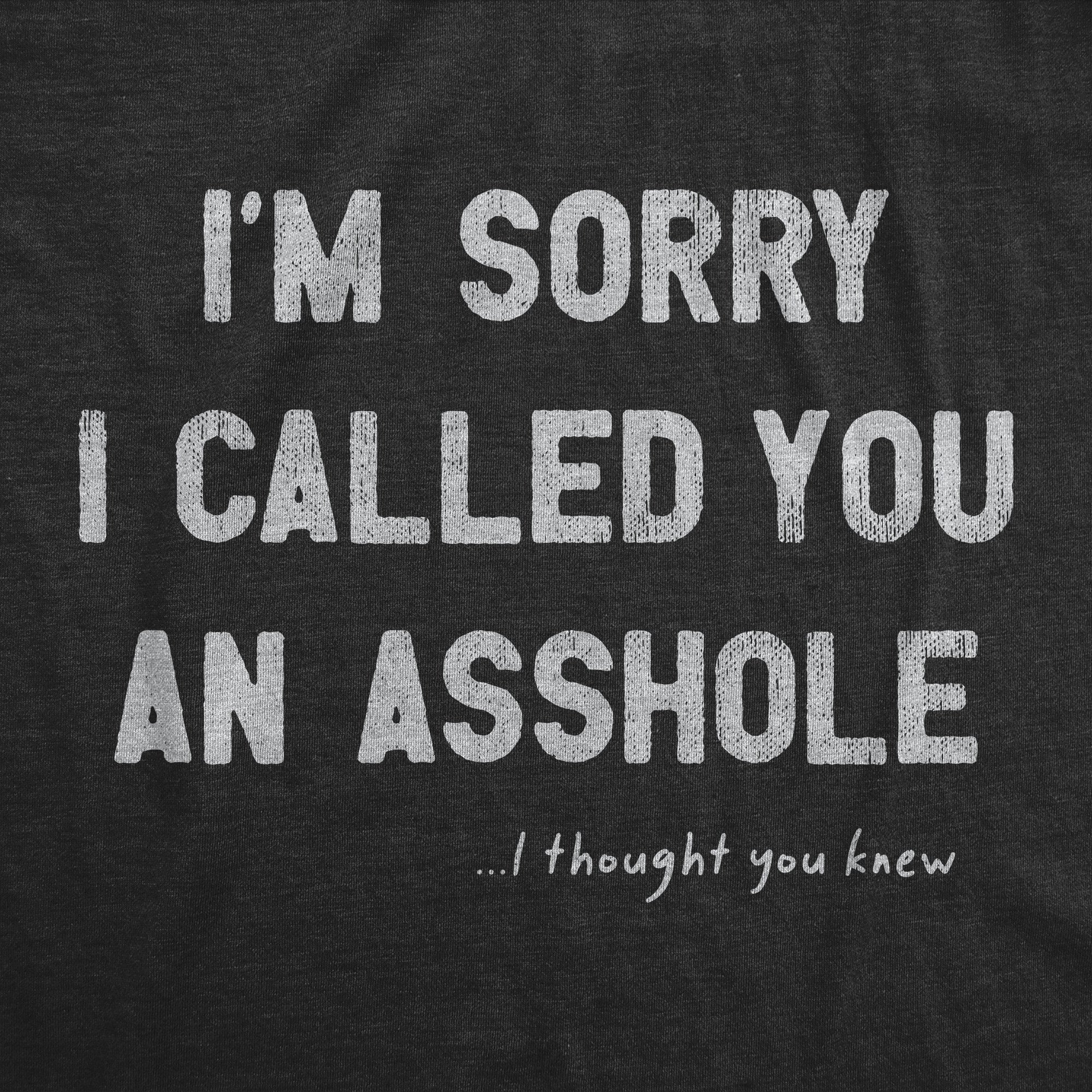 Funny Heather Black - ASSHOLE Im Sorry I Called You An Asshole Mens T Shirt Nerdy Sarcastic Tee