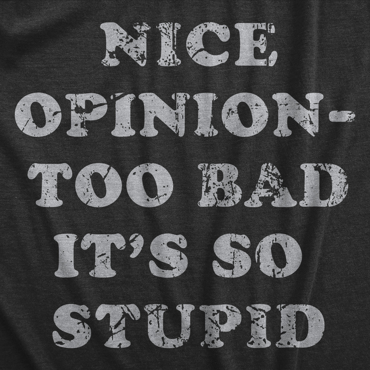 Nice Opinion Too Bad Its So Stupid Men&#39;s Tshirt
