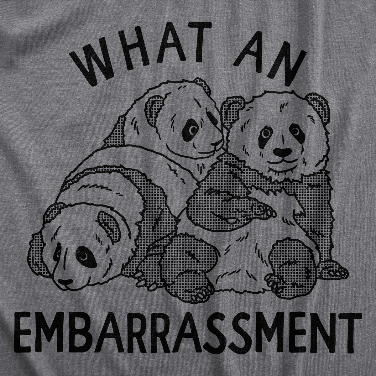 What An Embarrasment Women&#39;s T Shirt