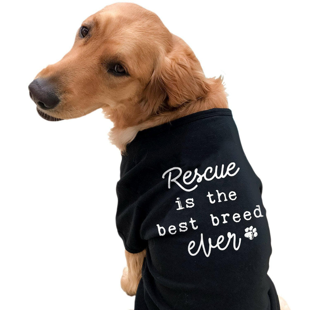 Rescue Is The Best Breed Ever Dog Shirt - Crazy Dog T-Shirts