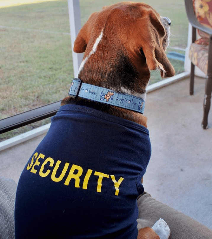 Security Dog Shirt - Crazy Dog T-Shirts