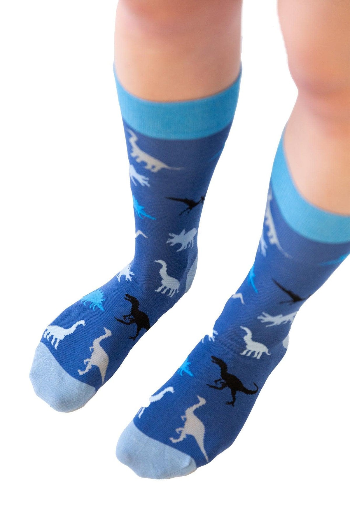 Mens Dinosaurs Socks  -  Crazy Dog T-Shirts