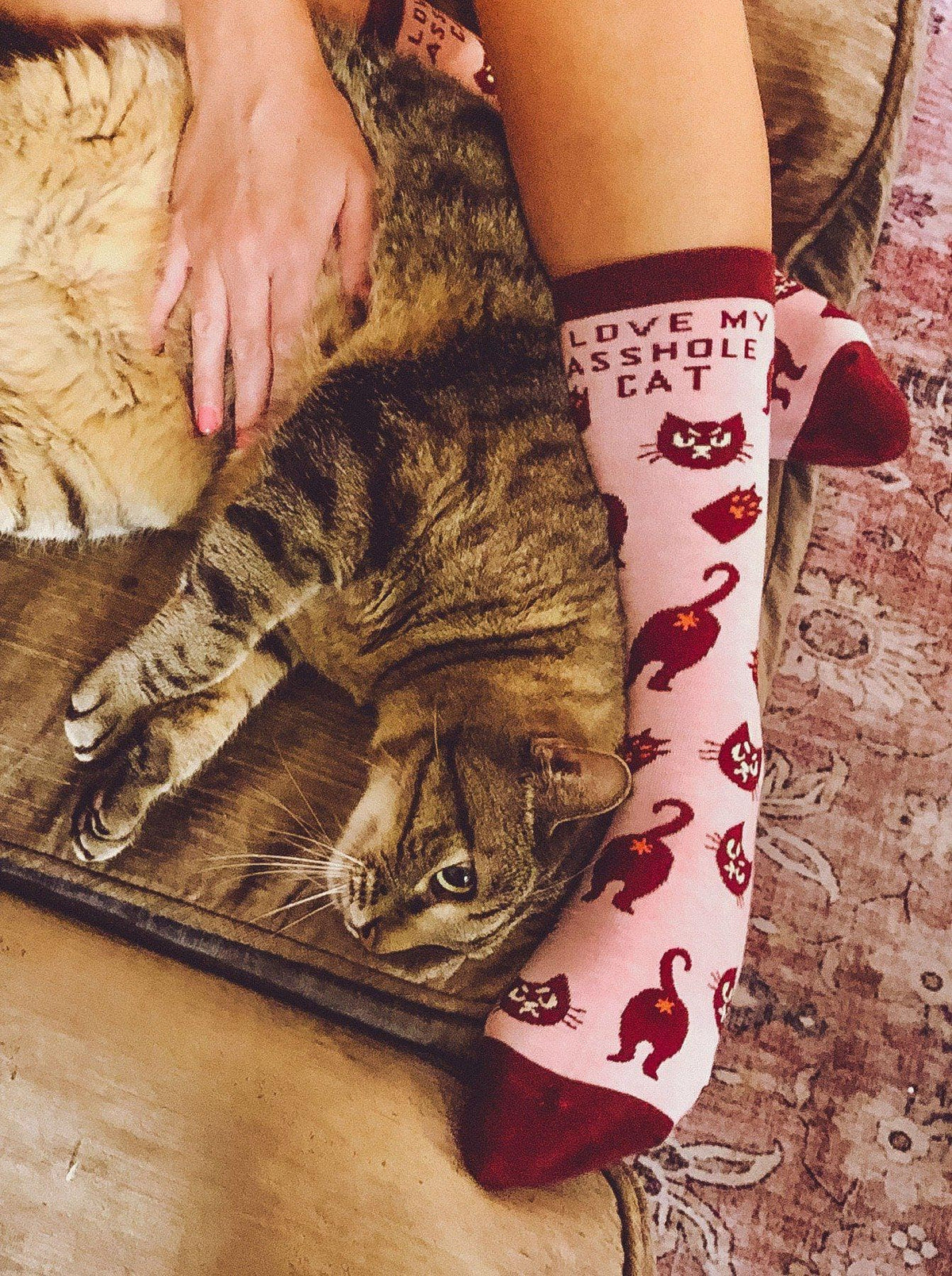 Women&#39;s I Love My Asshole Cat Socks - Crazy Dog T-Shirts
