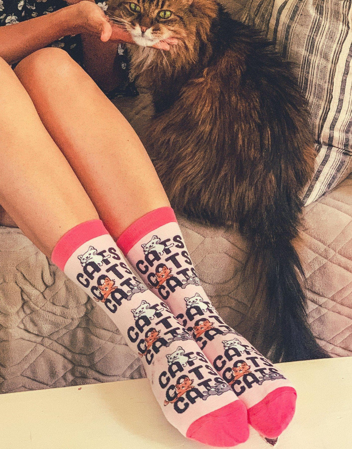 Womens Cats, Cats, Cats Socks - Crazy Dog T-Shirts