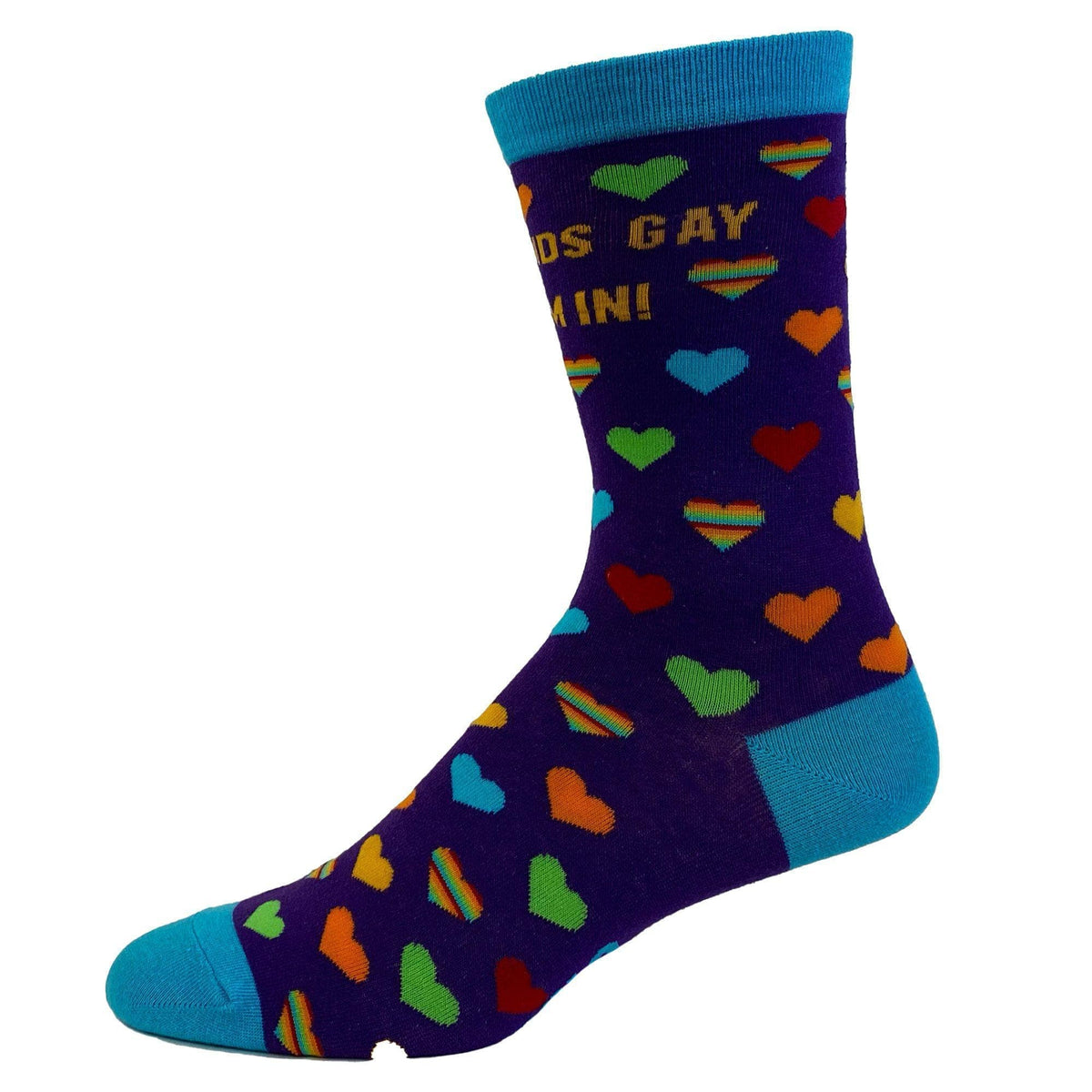 Womens Sounds Gay I&#39;m In Socks - Crazy Dog T-Shirts