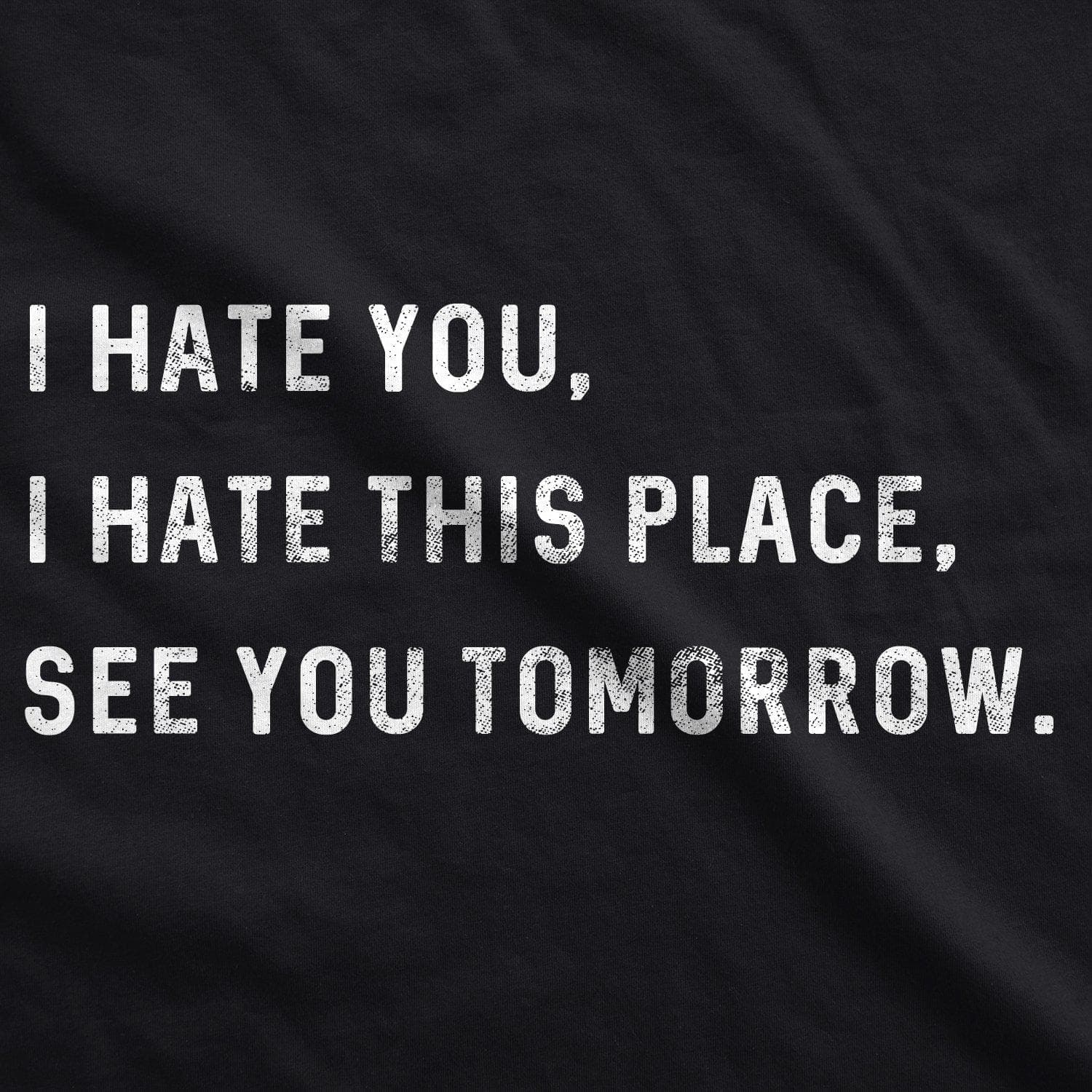 I Hate You I Hate This Place See You Tomorrow Men's Tshirt  -  Crazy Dog T-Shirts