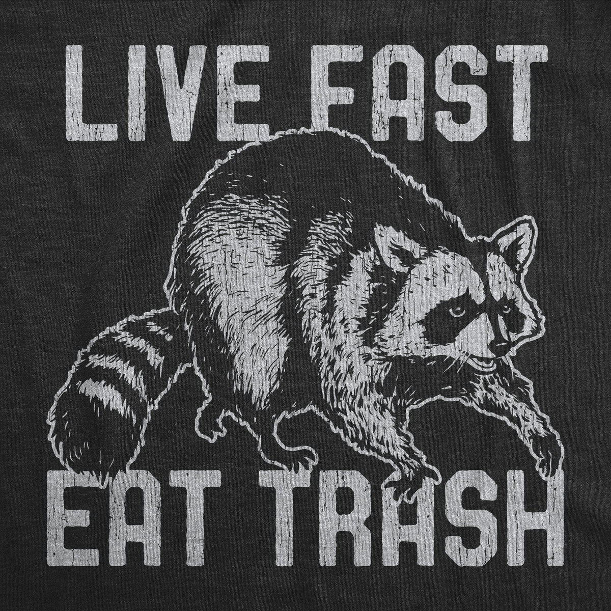 Live Fast Eat Trash Men&#39;s Tshirt - Crazy Dog T-Shirts