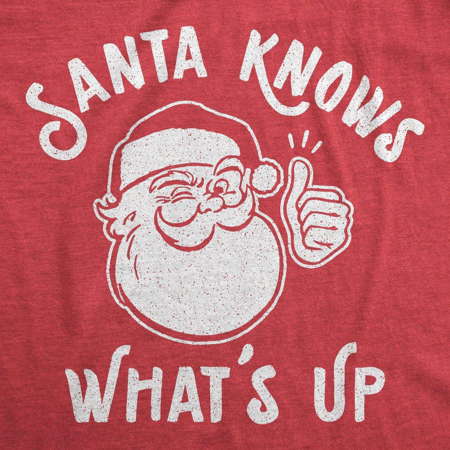 Santa Knows What's Up Men's Tshirt - Crazy Dog T-Shirts