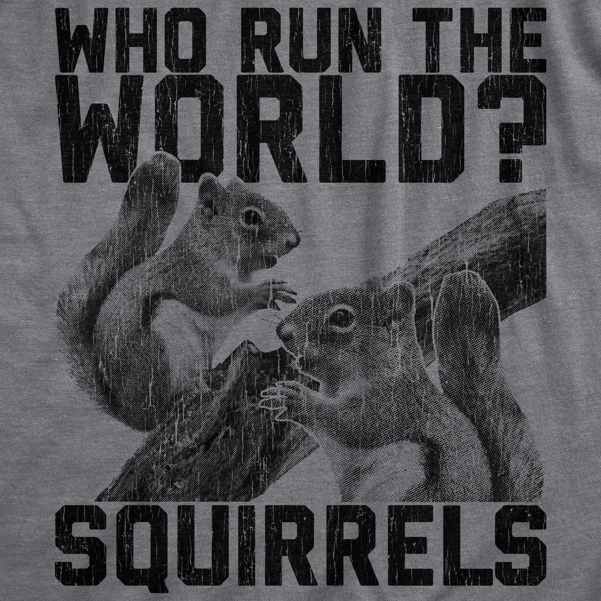 Who Run The World Squirrels Men&#39;s Tshirt - Crazy Dog T-Shirts