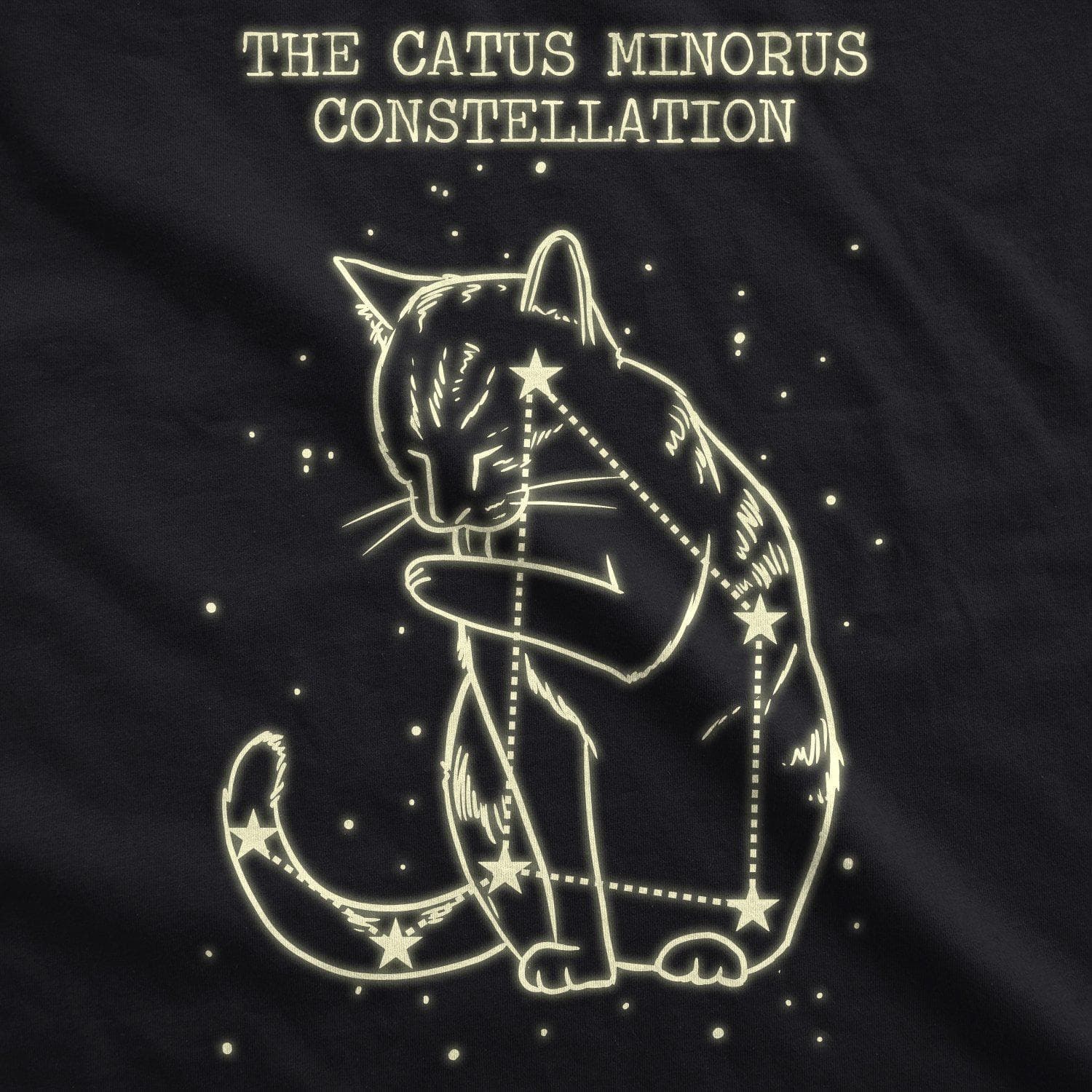 Catus Minorus Constellation Glow In The Dark Women's Tshirt  -  Crazy Dog T-Shirts