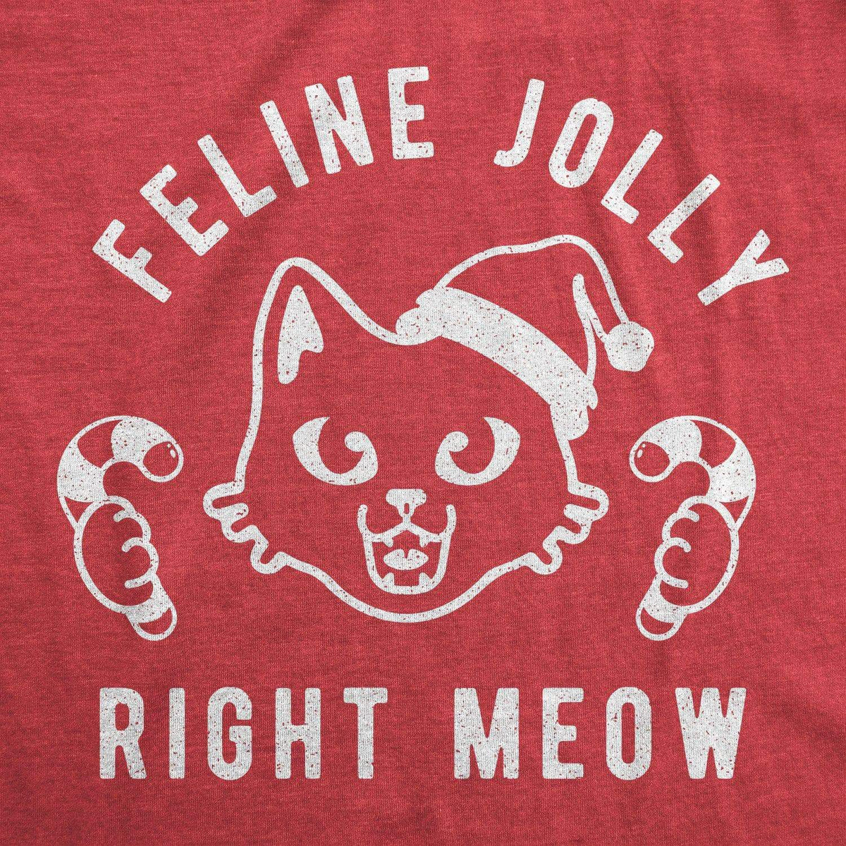 Feline Jolly Right Now Women&#39;s Tshirt - Crazy Dog T-Shirts