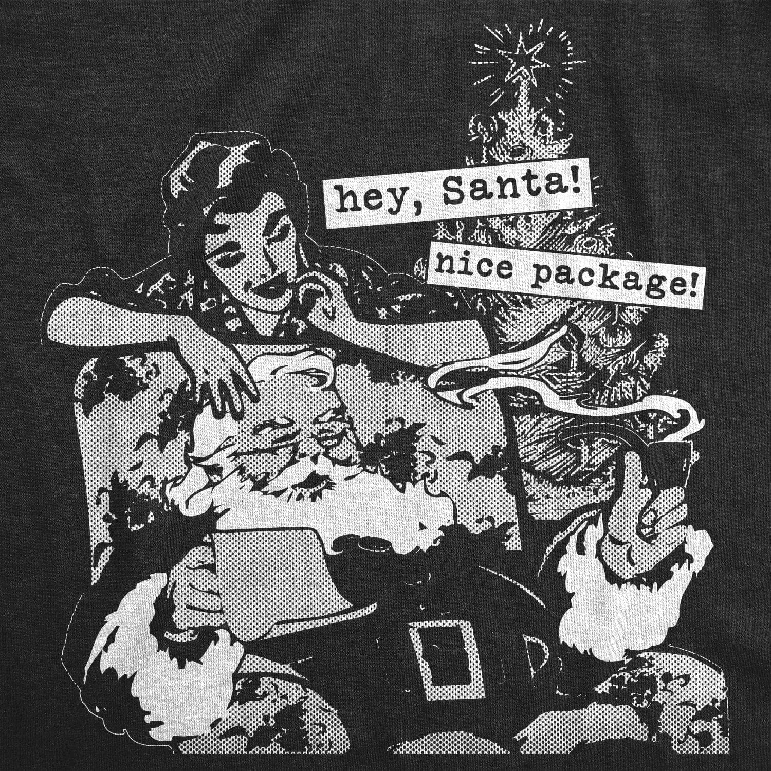 Hey Santa, Nice Package Women's Tshirt - Crazy Dog T-Shirts