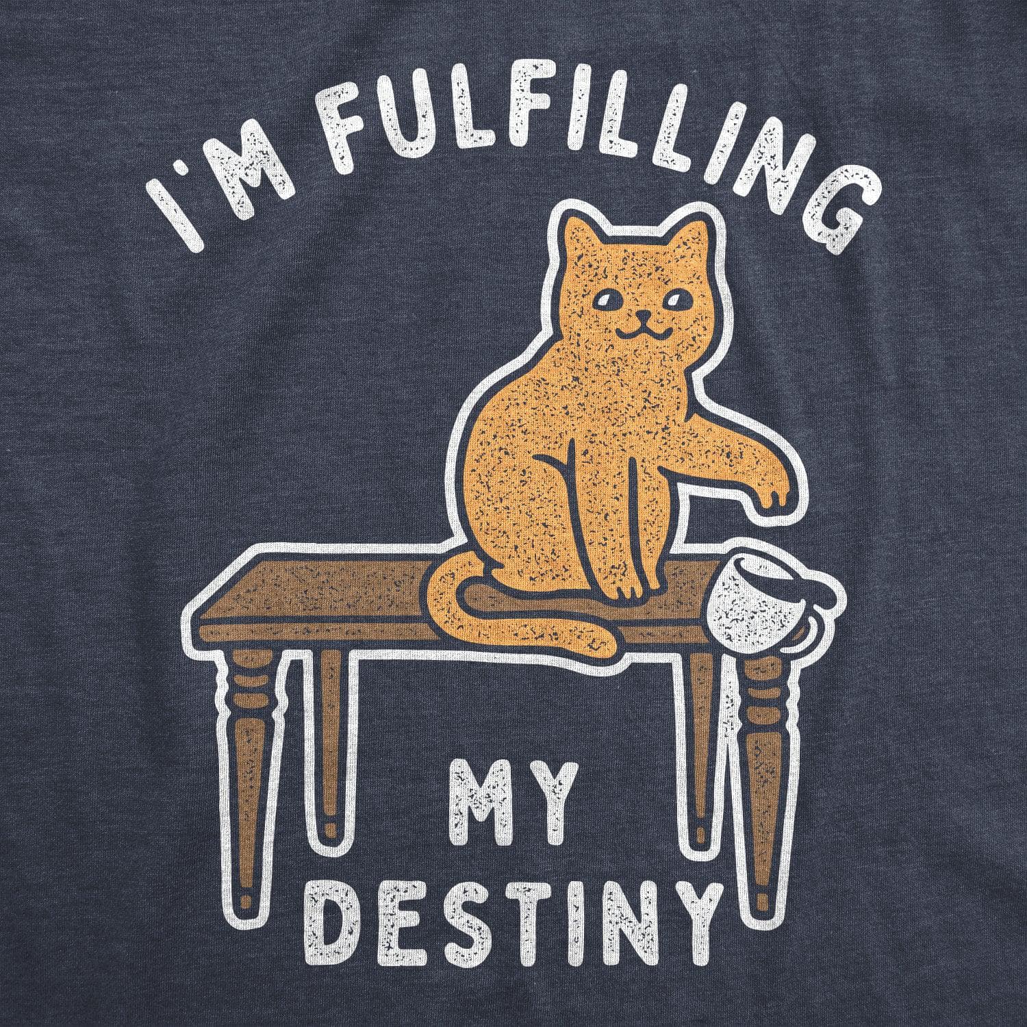 I'm Fulfilling My Destiny Women's Tshirt  -  Crazy Dog T-Shirts