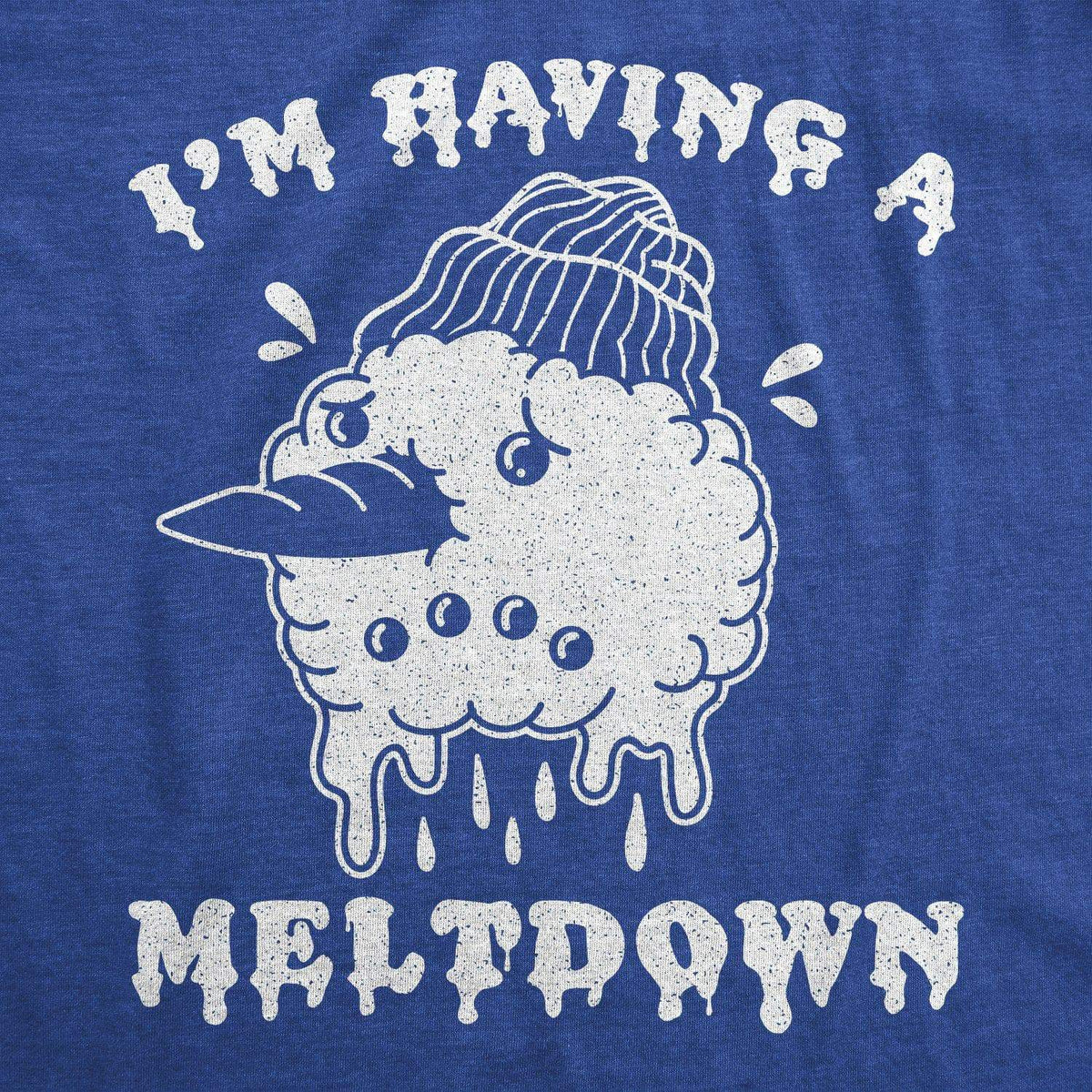 I&#39;m Having A Meltdown Women&#39;s Tshirt - Crazy Dog T-Shirts