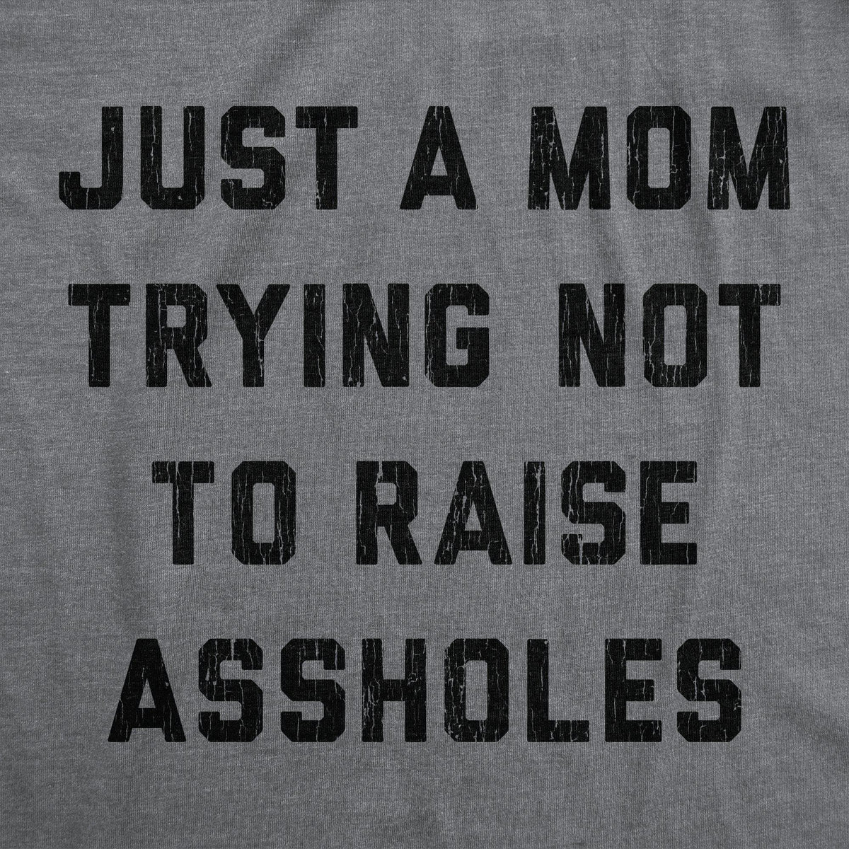 Just A Mom Trying Not To Raise Assholes Women&#39;s Tshirt - Crazy Dog T-Shirts