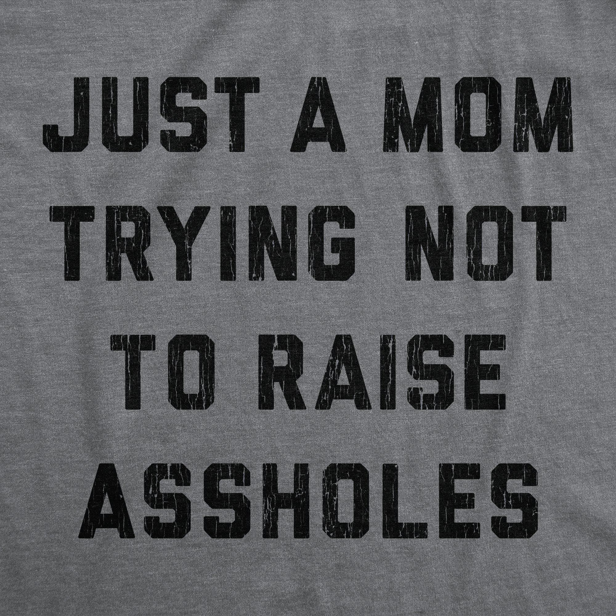 Just A Mom Trying Not To Raise Assholes Women's Tshirt - Crazy Dog T-Shirts