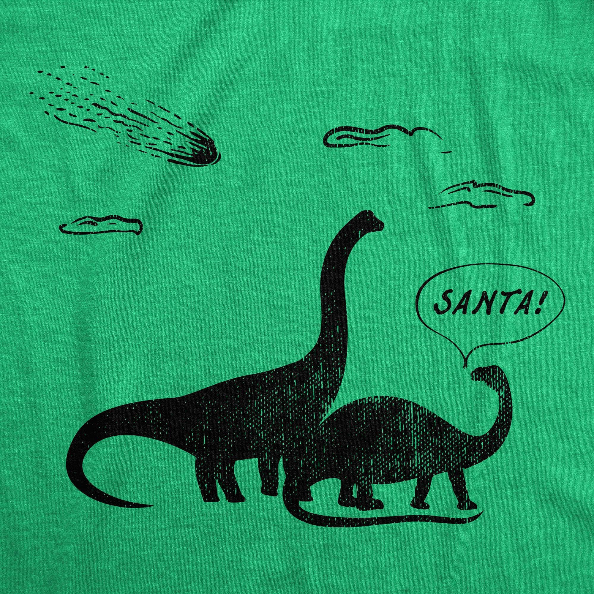 Santa Dinosaurs Women's Tshirt  -  Crazy Dog T-Shirts