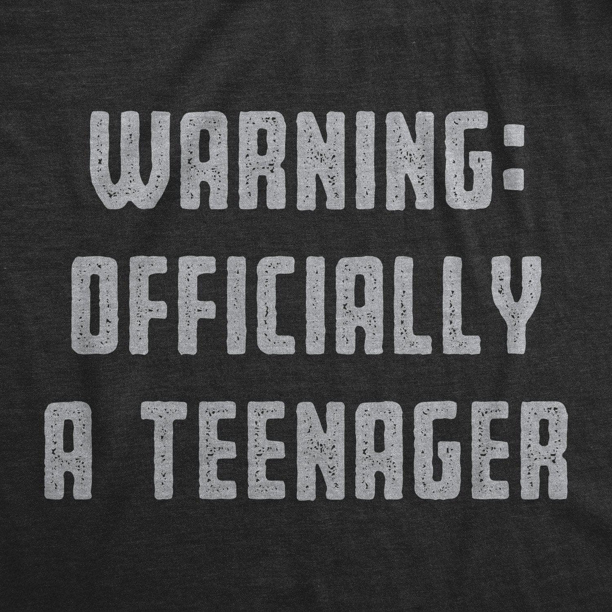 Warning: Offically A Teenager Women&#39;s Tshirt - Crazy Dog T-Shirts