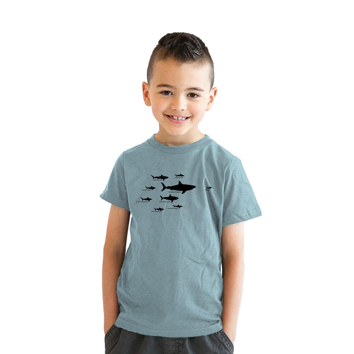 Shark Hierarchy Youth Tshirt - Crazy Dog T-Shirts